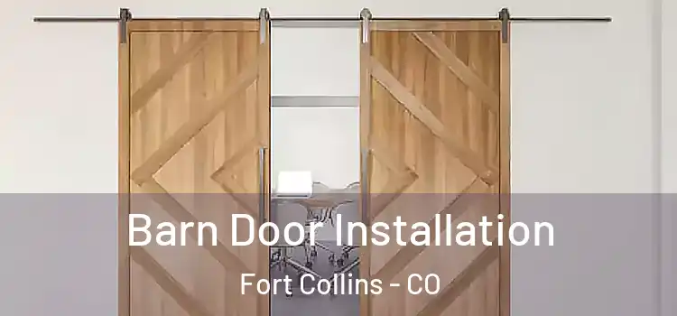  Barn Door Installation Fort Collins - CO
