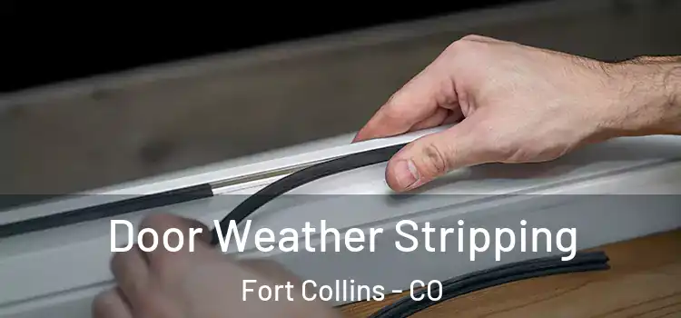  Door Weather Stripping Fort Collins - CO
