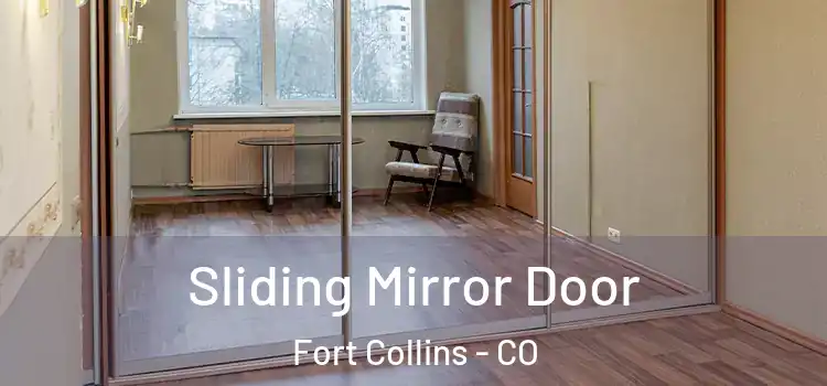  Sliding Mirror Door Fort Collins - CO